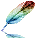 הודעה נעוצה